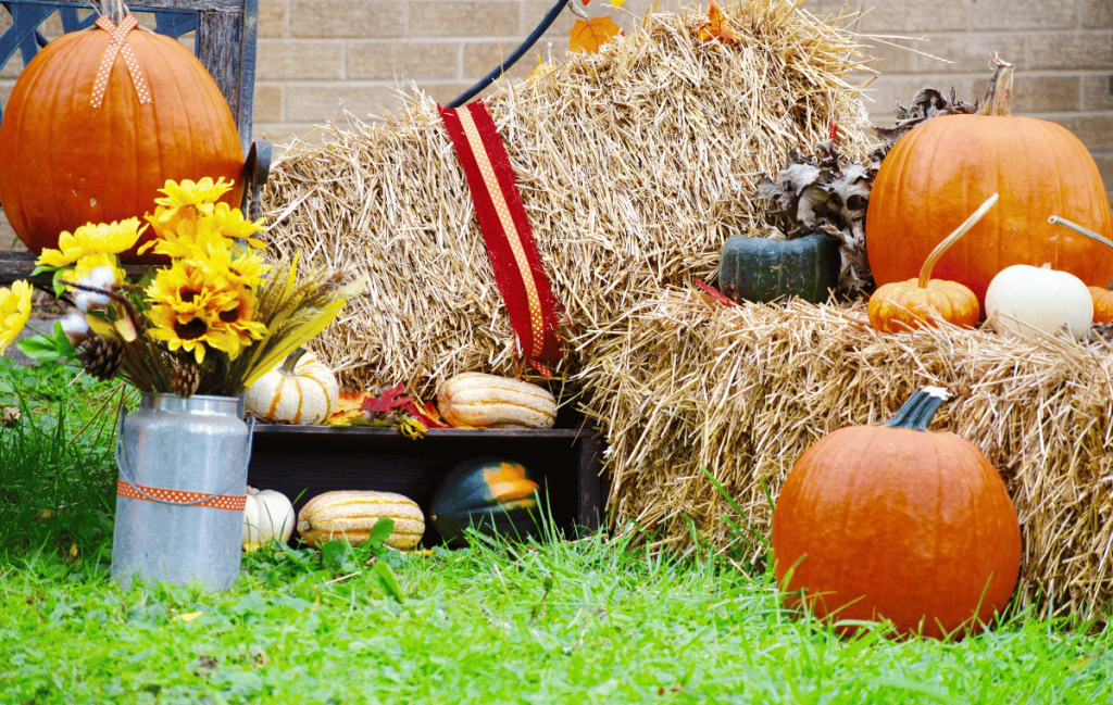 Fall Festival